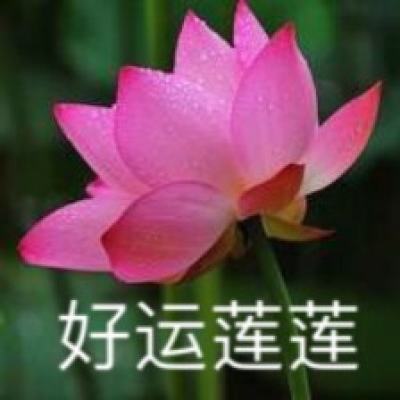 省情研究所丨四川党委社会工作体系初步形成，如何开局起步、履职尽责？